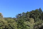 photo thumbnail #15