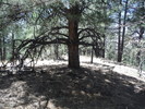 photo thumbnail #4