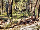 photo thumbnail #14