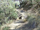 photo thumbnail #1