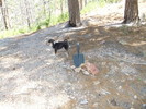 photo thumbnail #2