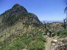 photo thumbnail #5