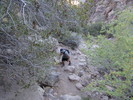 photo thumbnail #1