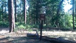 photo thumbnail #2