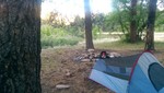 photo thumbnail #12