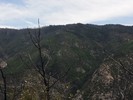 photo thumbnail #11