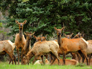 photo thumbnail #15