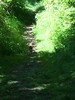 photo thumbnail #8