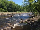 photo thumbnail #3