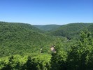 photo thumbnail #7