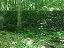 photo thumbnail #12
