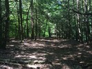 photo thumbnail #14