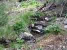 photo thumbnail #3