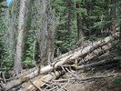 photo thumbnail #8