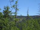 photo thumbnail #13