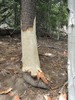 photo thumbnail #10