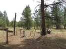 photo thumbnail #5