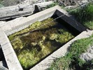 photo thumbnail #15