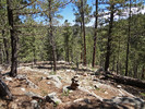 photo thumbnail #8