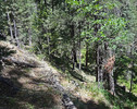 photo thumbnail #10