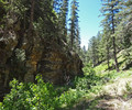 photo thumbnail #12