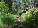 photo thumbnail #13
