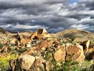 photo thumbnail #4