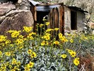 photo thumbnail #9