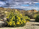 photo thumbnail #12