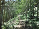 photo thumbnail #4