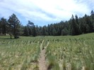 photo thumbnail #5