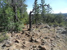 photo thumbnail #4