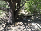 photo thumbnail #7