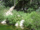 photo thumbnail #15