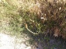 photo thumbnail #15
