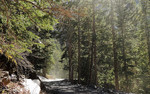 photo thumbnail #6