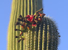 photo thumbnail #2