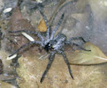 photo thumbnail #11