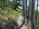 photo thumbnail #3