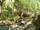 photo thumbnail #8
