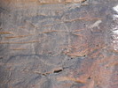 photo thumbnail #15