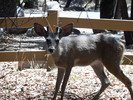 photo thumbnail #2