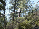 photo thumbnail #9