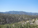 photo thumbnail #13