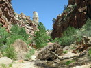 photo thumbnail #3