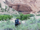 photo thumbnail #12