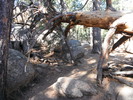 photo thumbnail #1