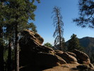 photo thumbnail #2