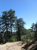 photo thumbnail #9