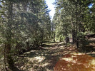 photo thumbnail #1